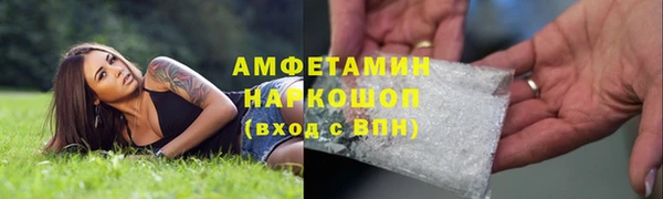 стафф Елизово