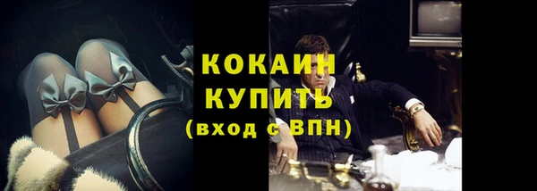 стафф Елизово
