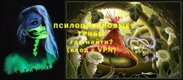 дживик Елабуга