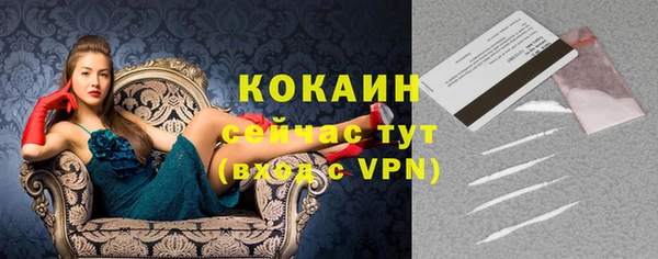 стафф Елизово
