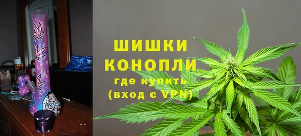дживик Елабуга