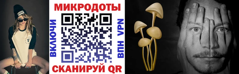 Галлюциногенные грибы MAGIC MUSHROOMS  Купить где  Заволжск 